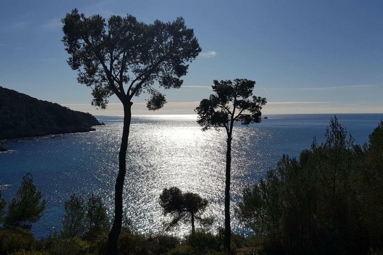 Appart T1 centre BANDOL dans Résidence de charme Esterno foto